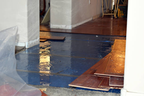 Professional Flood Damage Restoration technician working in Leonard, TX